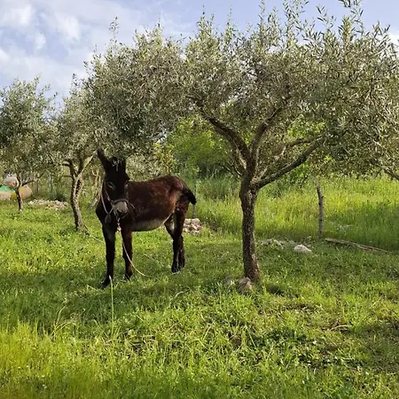 Capocanto Camerota